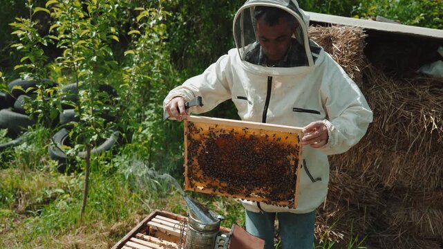 A professional beekeeper wearing protective clothing carefully inspects and maintains beehives in an outdoor apiary.