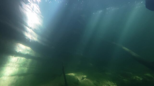 Scuba diver swimming under a sunken tree trunk in a clear river pool with sunbeams and scuba diver