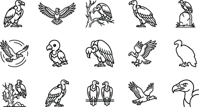 Collection of vulture vector icons depicting birds in various natural poses on transparent background