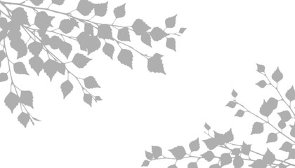 Fototapeta premium Minimalist branch shadows isolated on transparent background