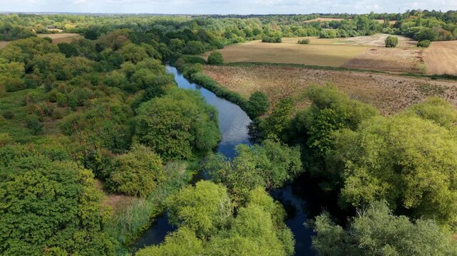 Aerial view of the River Great Ouse flowing through parched drought landscape with birds in flight near St Neots, UK