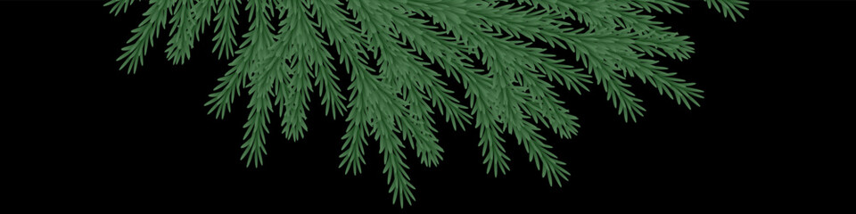 Fototapeta premium Panoramic banner with hanging spruce branches from top, Christmas holiday header design on black background, evergreen garland border, vector illustration