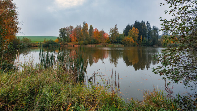 Autumn lake with colorful trees reflecting on water surface and grassy shore in Vysocina Region Czechia