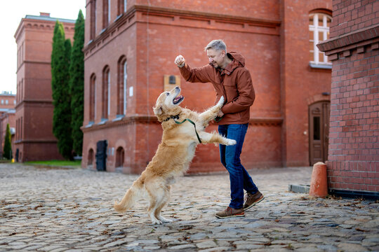 Man plays with golden retriever outside brick building during daytime