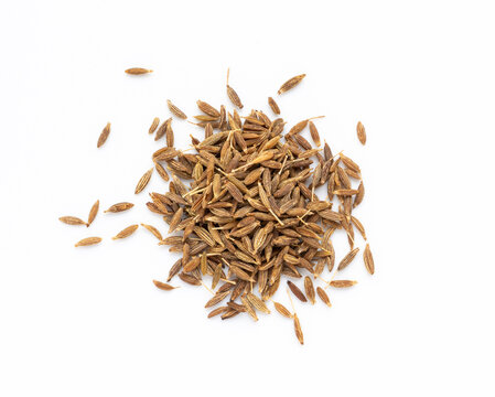 Cumin seed isolated. Caraway or fennel dry seeds close up, zeera macro, Indian cumin or zira grains
