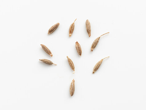 Cumin seed isolated. Caraway or fennel dry seeds close up, zeera macro, Indian cumin or zira grains