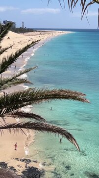 Vertical high angle view of Morro Jable beach with turquoise sea, palm leaves, and lighthouse in distance, Fuerteventura