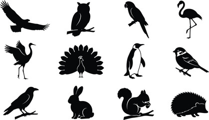 Fototapeta premium Bird and small mammal silhouettes include eagle owl and squirrel for nature illustrations