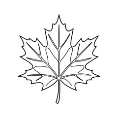 Fototapeta premium Black and white maple leaf line art outline vector