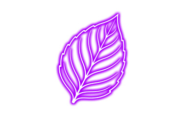 Neon purple leaf glowing illustration isolated on transparent background © Tohmina