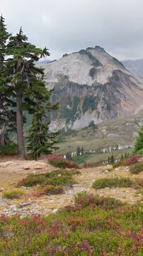 Mountain landscape in Mt. Baker-Snoqualmie National Forest, Washington. Stunning landscape view in the Artist Point area. Vertical design in 9:16 ratio. Smartphone and social media ready.
