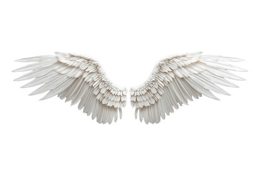 Obraz premium Wide white feathered angel wings