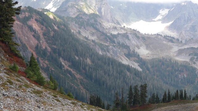 Mountain landscape in Mt. Baker-Snoqualmie National Forest, Washington. Stunning landscape view in the Artist Point area.