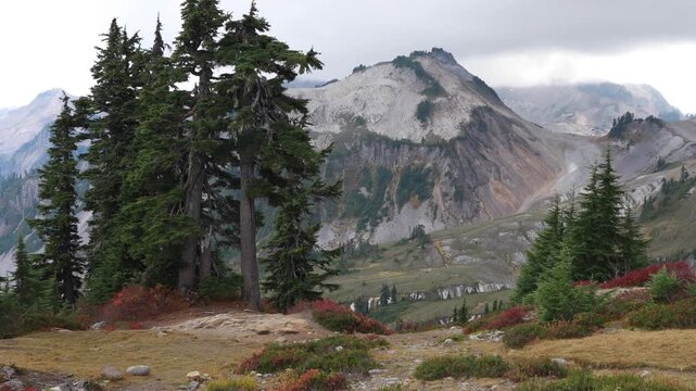 Mountain landscape in Mt. Baker-Snoqualmie National Forest, Washington. Stunning landscape view in the Artist Point area.