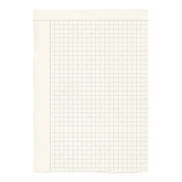 Blank Torn Grid Paper Note with Ripped Edges on Transparent Background