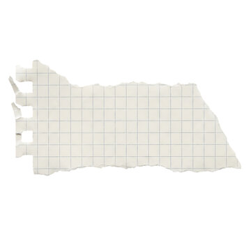 Blank Torn Grid Paper Note with Ripped Edges on Transparent Background