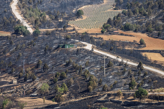 Santo Domingo de Silos: 2022 Wildfire Scars on Juniper Forests