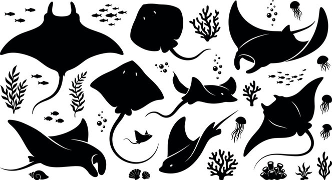 Stingray and manta ray silhouette vector set featuring various underwater marine life elements icons collection