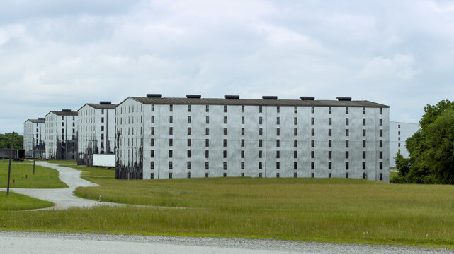 Row of white rick houses, where bourbon is aged in oak barrels, receding into the distance, their metal walls streaked with black whiskey fungus, beside a winding gravel path and tall grass, Bardstown