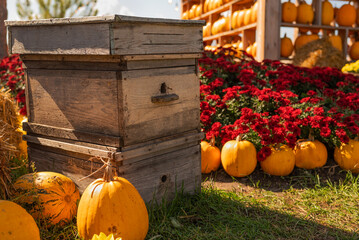 A rustic wooden beehive stands amidst bright pumpkins, sunflowers, and red flowers at an autumn farm display, while warm string lights glow against a softly blurred background at twilight. © Tatiana