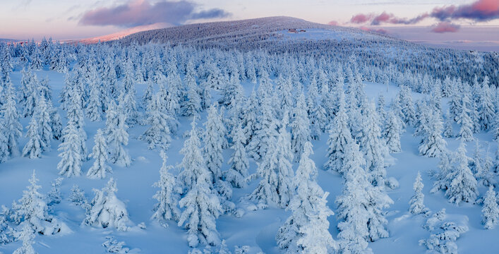 Aerial View of Winter Mountain Forest
