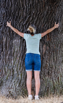 woman hugging a huge tree