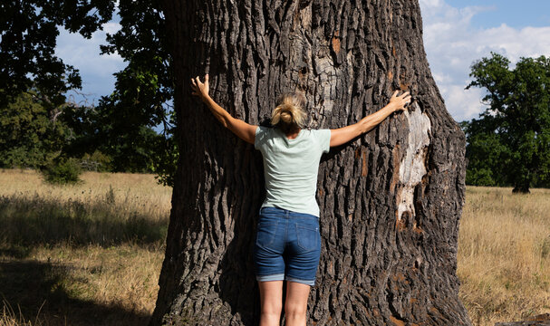 woman hugging a huge tree