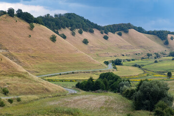 Obraz premium valley with rolling hills in summer