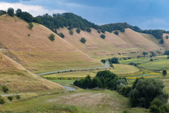 valley with rolling hills in summer