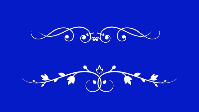 Flourish Animated Design on Blue Background for Titles and Dividers. Elegant White Flourish Design on Blue Background for Graphic Elements and Decorative Accents