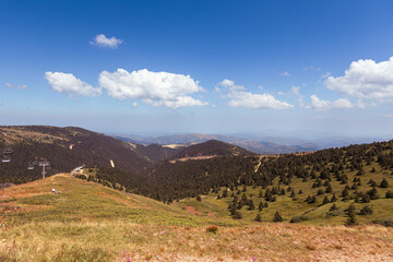 Fototapeta premium Mountain valley with evergreen forest and distant hills