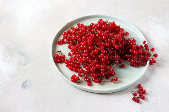 Red Viburnum Berries on plate, Close Up