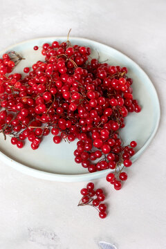 Red Viburnum Berries on plate, Close Up