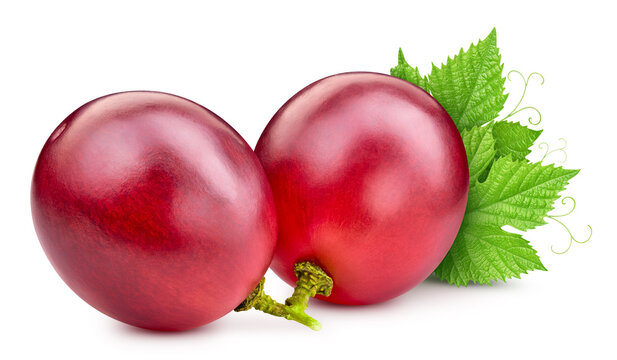 Red grapes of whole berries with leaves. Fresh organic grape slices isolated on white background with clipping path