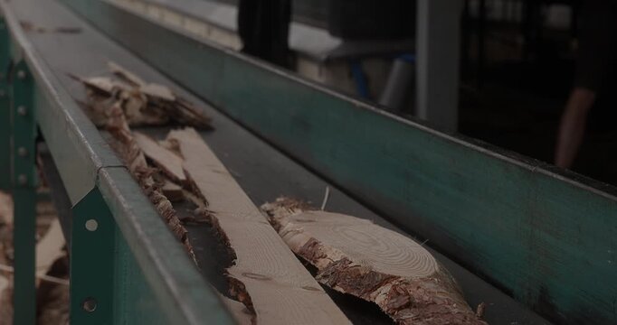 Rough sawn timber moving along green industrial conveyor belt during wood processing, showing bark fragments and circular cut surfaces in a factory setting