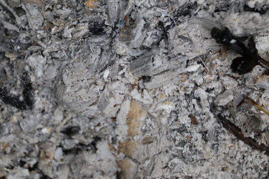 Close-up of coals in macro shot