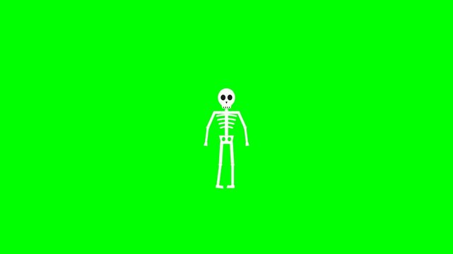 Skeleton Animation Jumping and Flipping on Chroma Key Green Screen Background