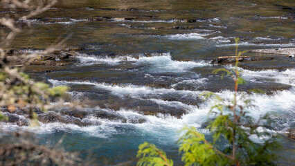 cascading mountain streams, crystal clear rivers in glacier national park © Dylan