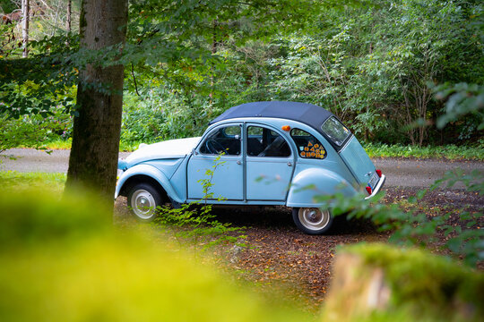 Citro&euml;n 2CV im herbstlichen Wald