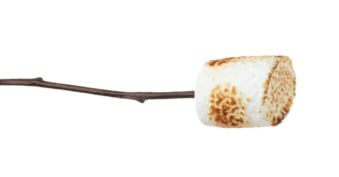 Twig with roasted marshmallow isolated on white