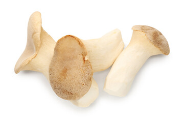 Fototapeta premium Three king oyster mushrooms isolated on white, top view