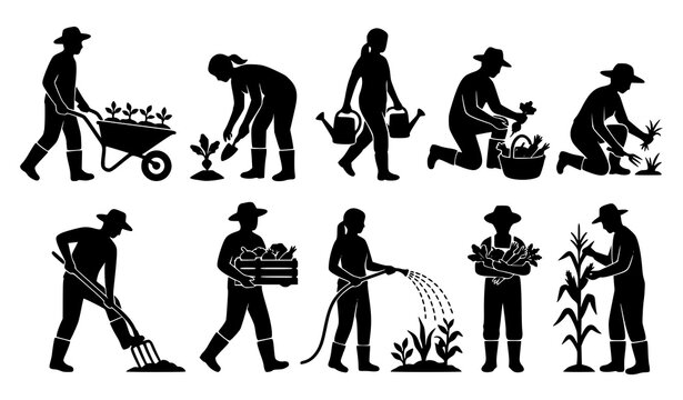 Farmers and gardeners performing planting watering weeding and harvesting black silhouette vector set