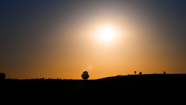 Golden sunset glowing above peaceful rolling farmland and silhouetted trees.