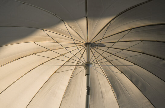 Underside structure of large patio umbrella showing radial support ribs.