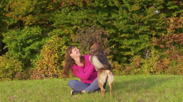 CLOSE UP, PORTRAIT: Cheerful woman sits in grass and embraces her excited shepherd mix as the dog jumps up for affection. Second dog rests calmly nearby in the meadow next to a colourful autumn forest