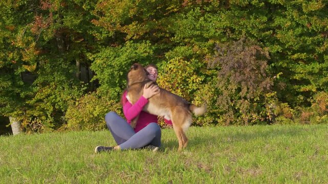 CLOSE UP, PORTRAIT: Seated woman calls her dog across sunny meadow as the excited mixed breed pet rushes toward her for affection. Spending happy times with furry pets in colorful autumn woodland.
