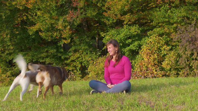 CLOSE UP, PORTRAIT: Happy woman sits cross legged in grassy meadow while her two dogs dash and wrestle playfully beside her. Colorful autumn forest surrounds lively pet companionship and outdoor joy.