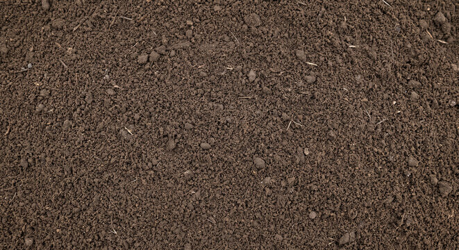 Fine digestate particulate shown as a uniform full-frame field of dense powdery biomass and fine organic grains with subtle tonal variation