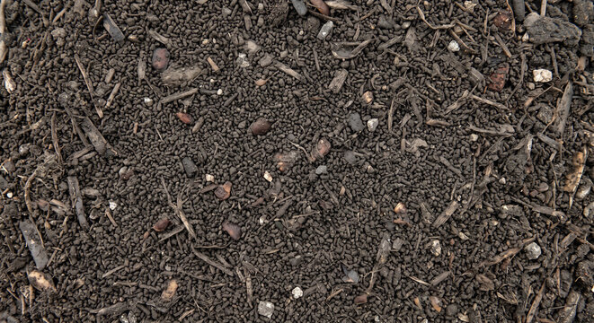 Black soldier fly frass mixed with post-bioconversion food-waste residue shown as a heterogeneous full-frame field of particles, softened fibers, and decomposed fragments