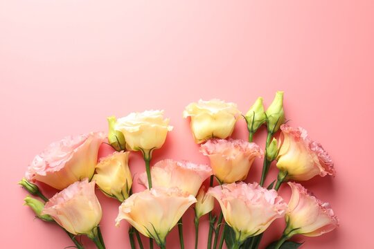Beautiful eustoma flowers on peach background, flat lay. Space for text